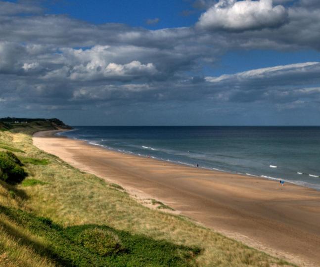 Jim Mcgee'S Hotell Wexford Eksteriør bilde